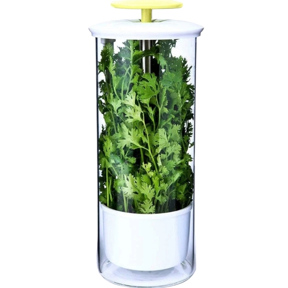Cleae Borosilicate Glass Herb Keeper and Herb Storage‎ Container 12.2x4.7in - Picture 6 of 14